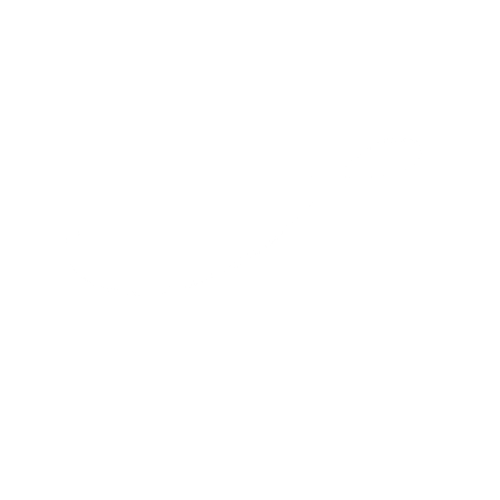 V Johnson Logo